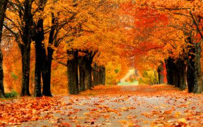 Обавештење