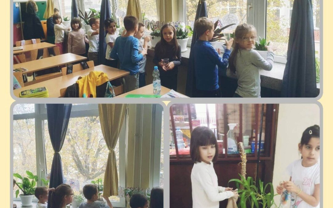 Први кораци наше мале еколошке секције