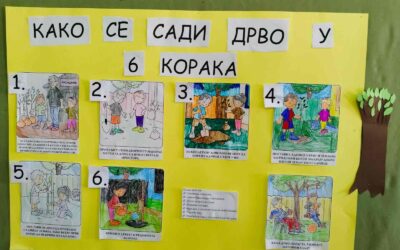 „Како се сади дрво у 6 корака“, Комбиновано одељење