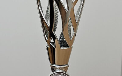 ГРАДСКО ТАКМИЧЕЊЕ У ЏУДОУ