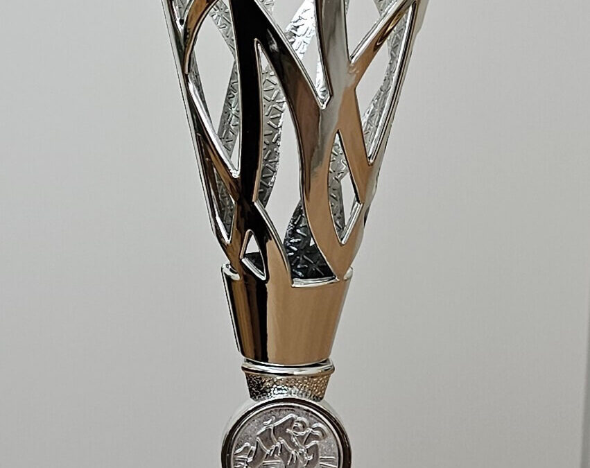 ГРАДСКО ТАКМИЧЕЊЕ У ЏУДОУ