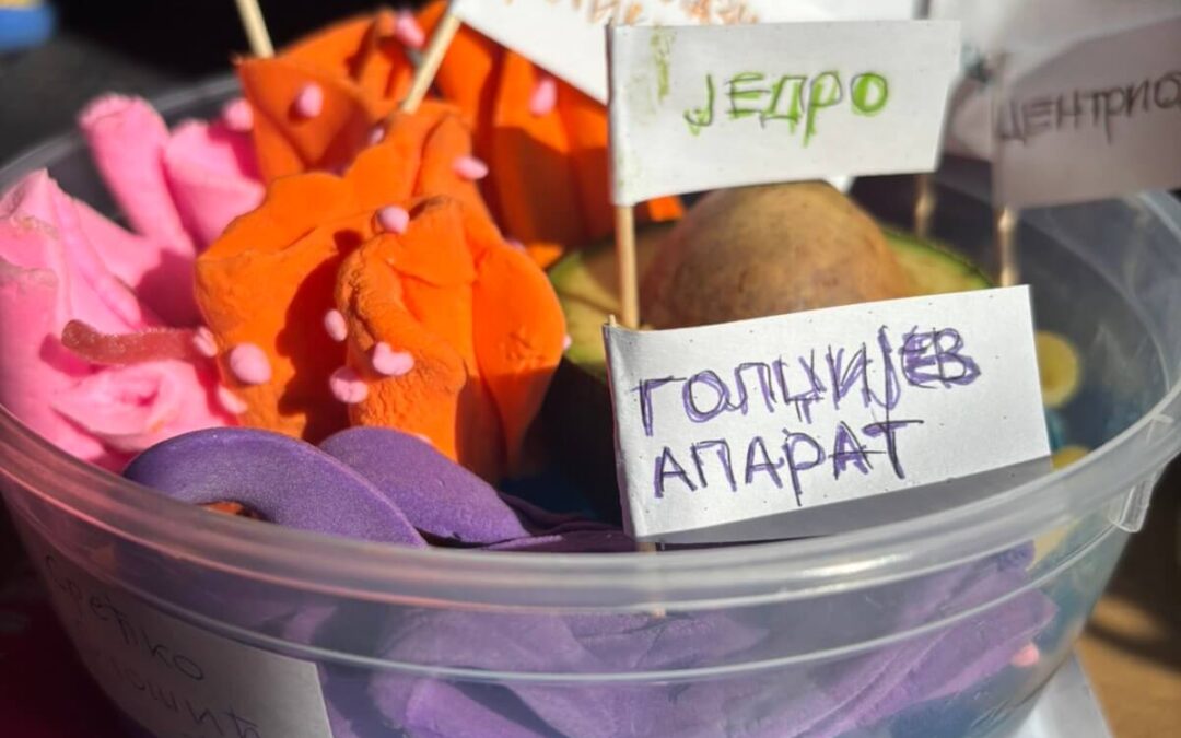 МАШТОВАТИ РАДОВИ УЧЕНИКА 5.РАЗРЕДА НА ТЕМУ ЋЕЛИЈА.